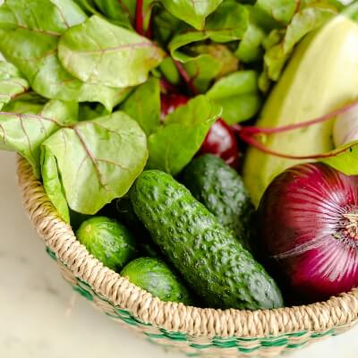 Member reviewing food plan for nutrition coaching in Cranberry Township